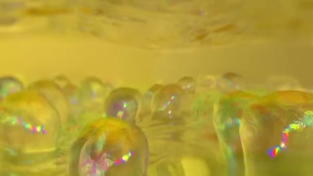 Hahn-Schickard LabDisk · 3D